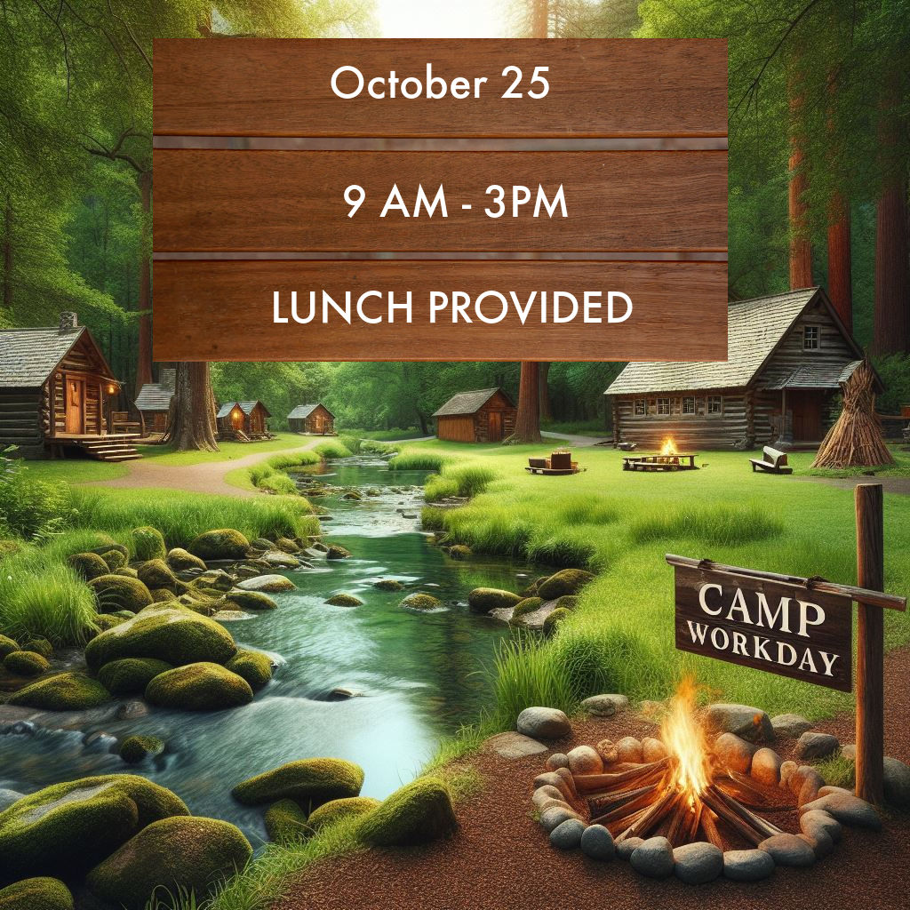 Camp Workday (5)