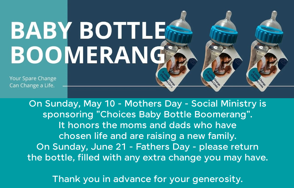 Baby Bottle Boomerang